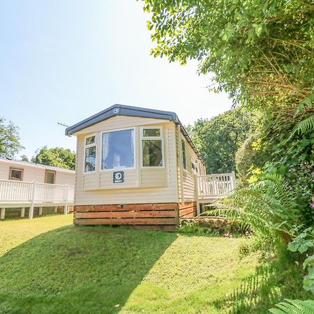 25 Manleigh Park Villa Ilfracombe Eksteriør bilde